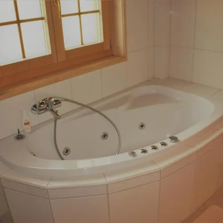 Chalet Dorfli Alpesi faház Les Diablerets